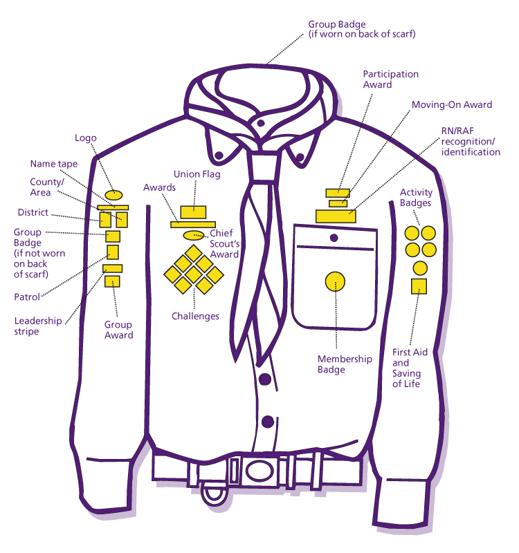 scout_badges.gif